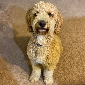 Meet your Posher, Jonathan